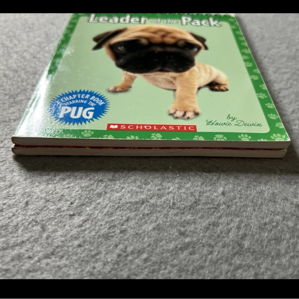 Vintage The Dog Book Lot Of 2 Paperback Dalmatian Pug 2008 Scholastic Chapter - Picture 4 of 6